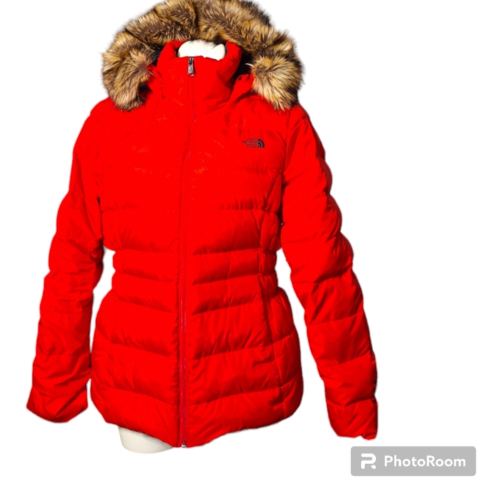 North Face  Down Jacket